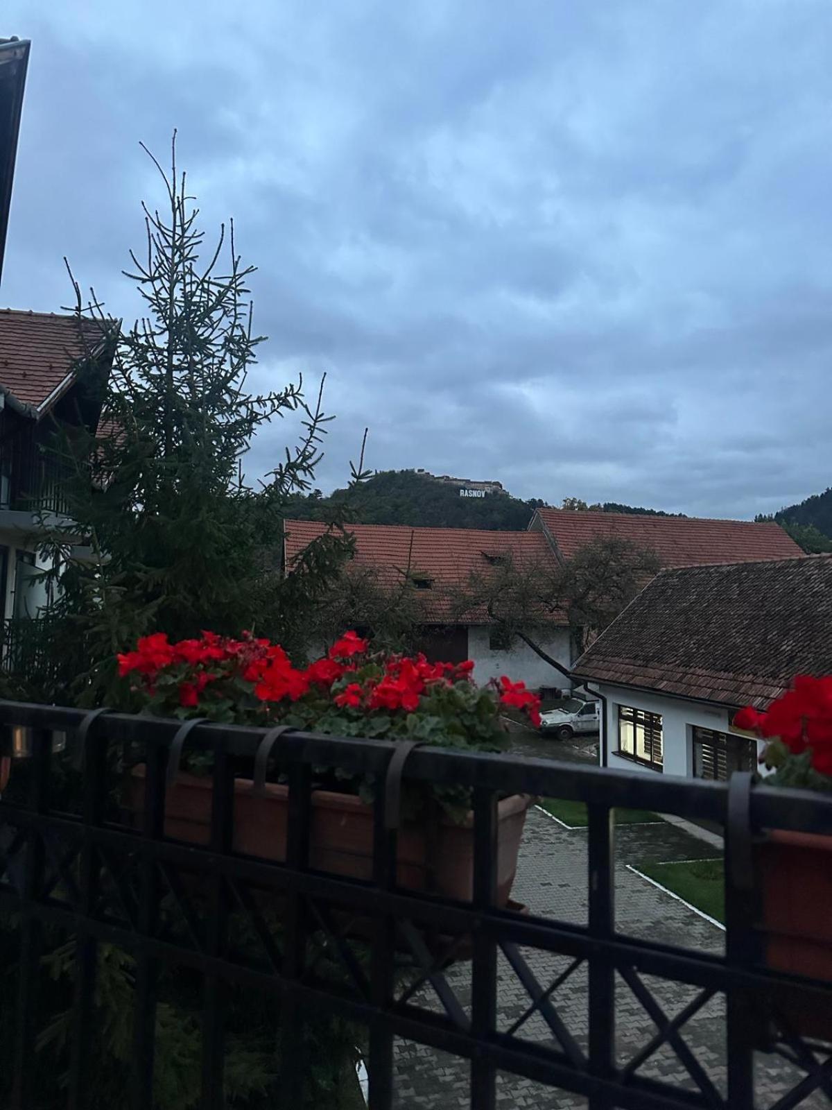 Pensiunea Casa Saxonia Rîşnov Luaran gambar