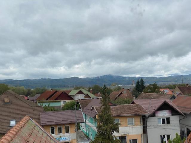 Pensiunea Casa Saxonia Rîşnov Luaran gambar