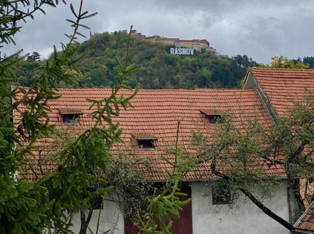 Pensiunea Casa Saxonia Rîşnov Luaran gambar