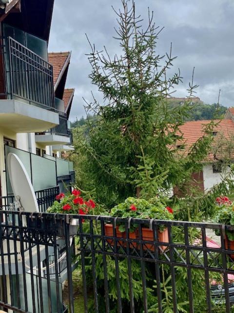 Pensiunea Casa Saxonia Rîşnov Luaran gambar
