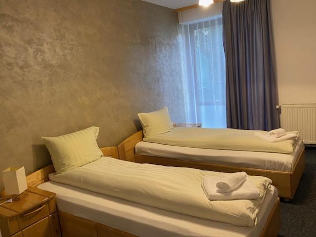 Pensiunea Casa Saxonia Rîşnov Luaran gambar